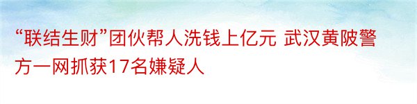 “联结生财”团伙帮人洗钱上亿元 武汉黄陂警方一网抓获17名嫌疑人