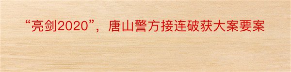 “亮剑2020”，唐山警方接连破获大案要案