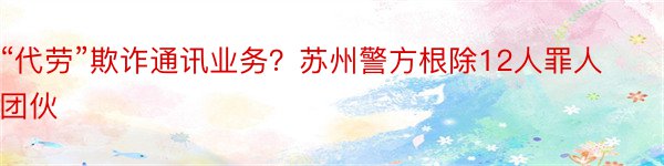 “代劳”欺诈通讯业务？苏州警方根除12人罪人团伙