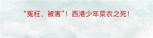 “冤枉、被害”！西港少年菜农之死！