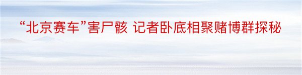 “北京赛车”害尸骸 记者卧底相聚赌博群探秘