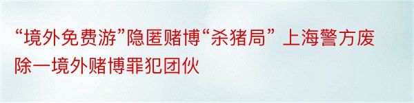 “境外免费游”隐匿赌博“杀猪局” 上海警方废除一境外赌博罪犯团伙