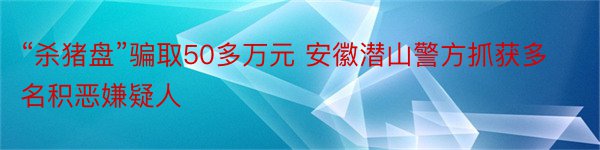 “杀猪盘”骗取50多万元 安徽潜山警方抓获多名积恶嫌疑人