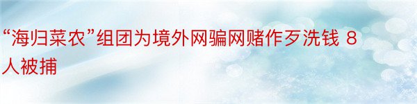 “海归菜农”组团为境外网骗网赌作歹洗钱 8人被捕