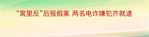 “窝里反”后报假案 两名电诈嫌犯齐就逮