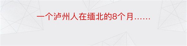 一个泸州人在缅北的8个月……