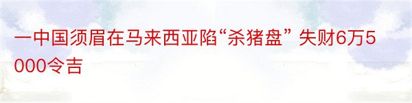 一中国须眉在马来西亚陷“杀猪盘” 失财6万5000令吉