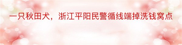 一只秋田犬，浙江平阳民警循线端掉洗钱窝点