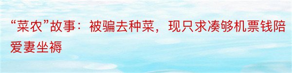 “菜农”故事：被骗去种菜，现只求凑够机票钱陪爱妻坐褥