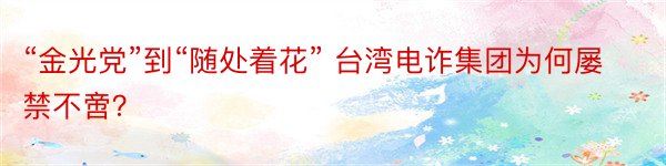 “金光党”到“随处着花” 台湾电诈集团为何屡禁不啻？