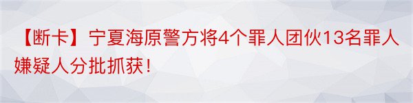 【断卡】宁夏海原警方将4个罪人团伙13名罪人嫌疑人分批抓获！