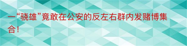 一“骁雄”竟敢在公安的反左右群内发赌博集合！