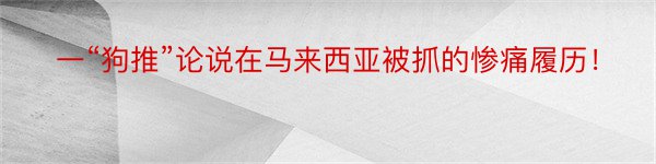 一“狗推”论说在马来西亚被抓的惨痛履历！