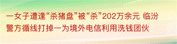 一女子遭逢“杀猪盘”被“杀”202万余元 临汾警方循线打掉一为境外电信利用洗钱团伙