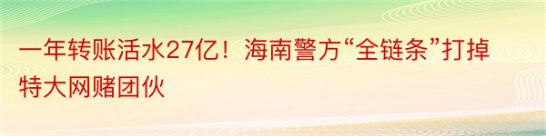 一年转账活水27亿！海南警方“全链条”打掉特大网赌团伙