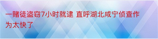 一赌徒盗窃7小时就逮 直呼湖北咸宁侦查作为太快了