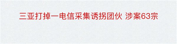 三亚打掉一电信采集诱拐团伙 涉案63宗