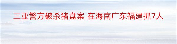 三亚警方破杀猪盘案 在海南广东福建抓7人