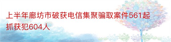 上半年廊坊市破获电信集聚骗取案件561起 抓获犯604人