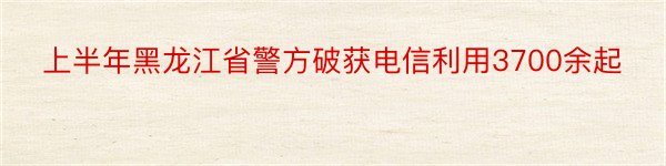 上半年黑龙江省警方破获电信利用3700余起