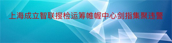 上海成立智联搜检运筹帷幄中心剑指集聚违警