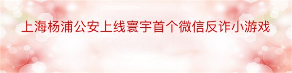 上海杨浦公安上线寰宇首个微信反诈小游戏