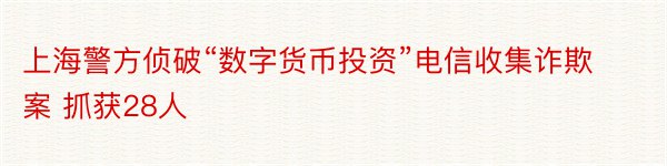 上海警方侦破“数字货币投资”电信收集诈欺案 抓获28人