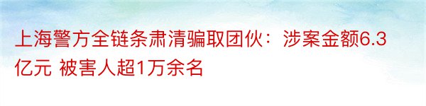 上海警方全链条肃清骗取团伙：涉案金额6.3亿元 被害人超1万余名