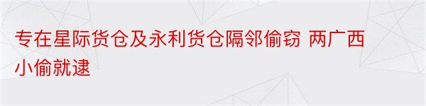 专在星际货仓及永利货仓隔邻偷窃 两广西小偷就逮