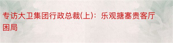 专访大卫集团行政总裁(上)：乐观搪塞贵客厅困局