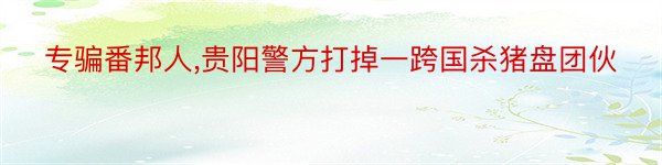 专骗番邦人,贵阳警方打掉一跨国杀猪盘团伙