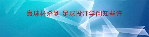 寰球杯杀到 足球投注学问知些许