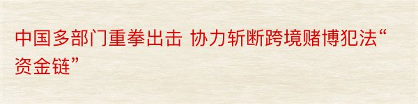 中国多部门重拳出击 协力斩断跨境赌博犯法“资金链”