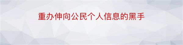 重办伸向公民个人信息的黑手