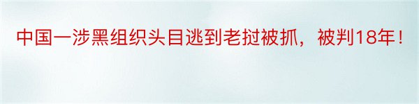 中国一涉黑组织头目逃到老挝被抓，被判18年！