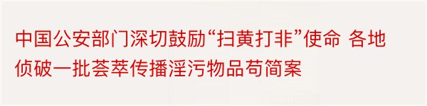 中国公安部门深切鼓励“扫黄打非”使命 各地侦破一批荟萃传播淫污物品苟简案