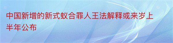 中国新增的新式蚁合罪人王法解释或来岁上半年公布