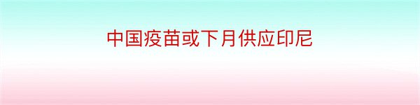 中国疫苗或下月供应印尼