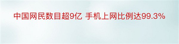 中国网民数目超9亿 手机上网比例达99.3%