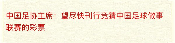 中国足协主席：望尽快刊行竞猜中国足球做事联赛的彩票