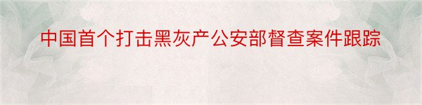 中国首个打击黑灰产公安部督查案件跟踪