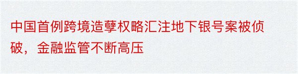 中国首例跨境造孽权略汇注地下银号案被侦破，金融监管不断高压