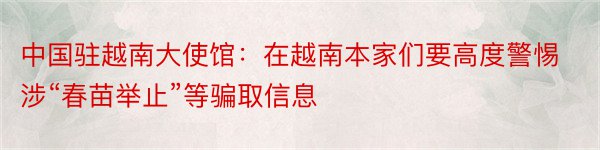 中国驻越南大使馆：在越南本家们要高度警惕涉“春苗举止”等骗取信息