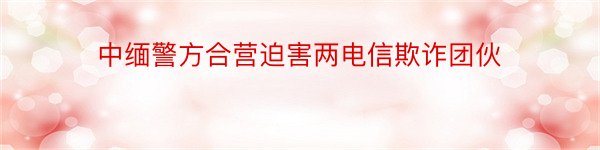 中缅警方合营迫害两电信欺诈团伙