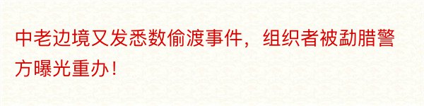 中老边境又发悉数偷渡事件，组织者被勐腊警方曝光重办！