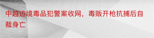 中越边境毒品犯警案收网，毒贩开枪抗捕后自裁身亡