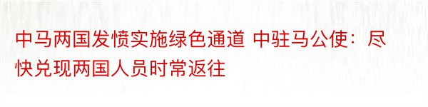 中马两国发愤实施绿色通道 中驻马公使：尽快兑现两国人员时常返往