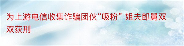 为上游电信收集诈骗团伙“吸粉” 姐夫郎舅双双获刑