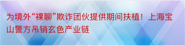 为境外“裸聊”欺诈团伙提供期间扶植！上海宝山警方吊销玄色产业链