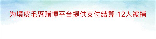 为境皮毛聚赌博平台提供支付结算 12人被捕